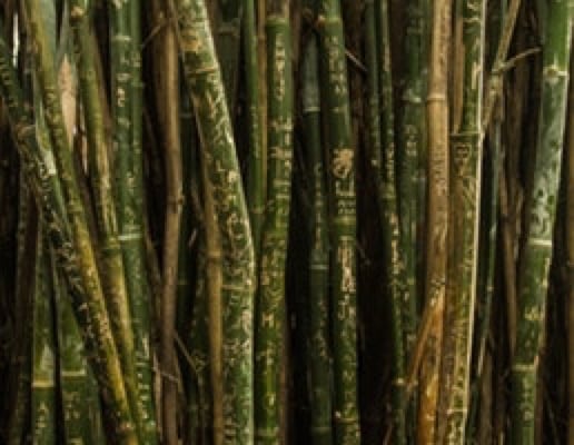 Home fall prevention exercises for seniors