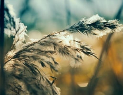 Progressive balance training for Parkinson's