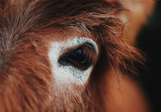 Stephen Jepson demonstrating balance exercises