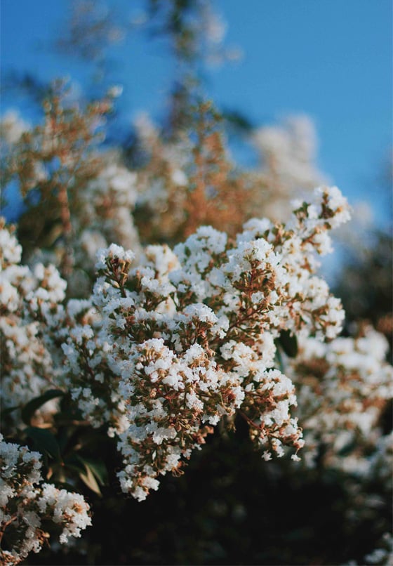 Balance board training for Parkinson's disease
